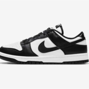 NIB.  Nike Dunk Low Retro